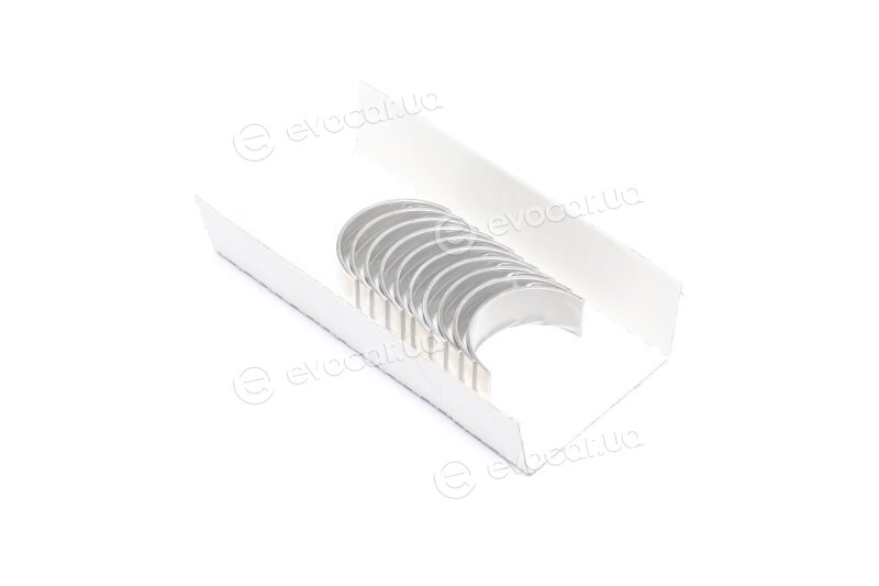 Glyco 71-3442/5 STD