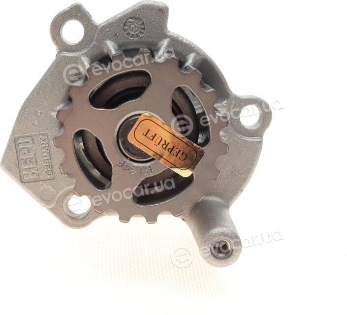 Hepu P655
