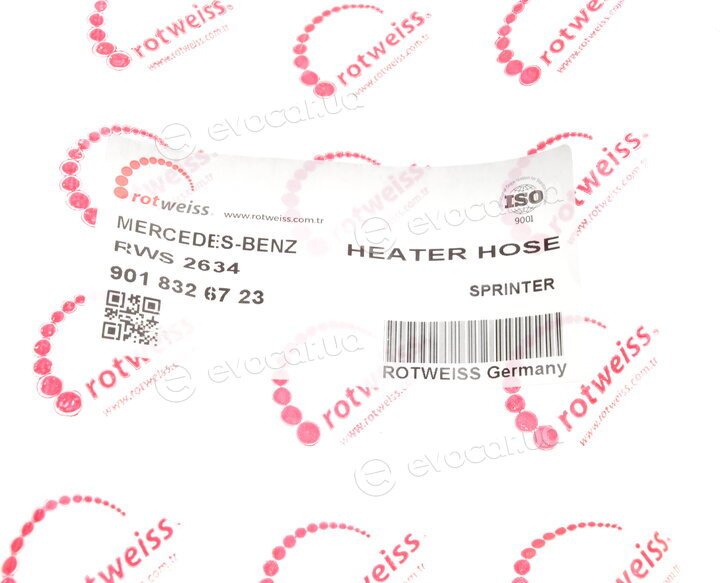 Rotweiss RWS2634