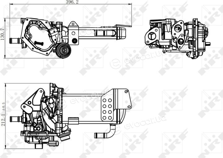 NRF 48202