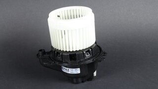 Kale 354855