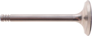 AMP PAUD033-S-0-N