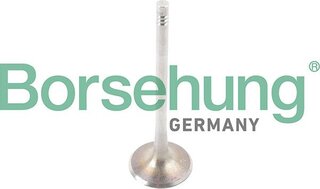 Borsehung B13371