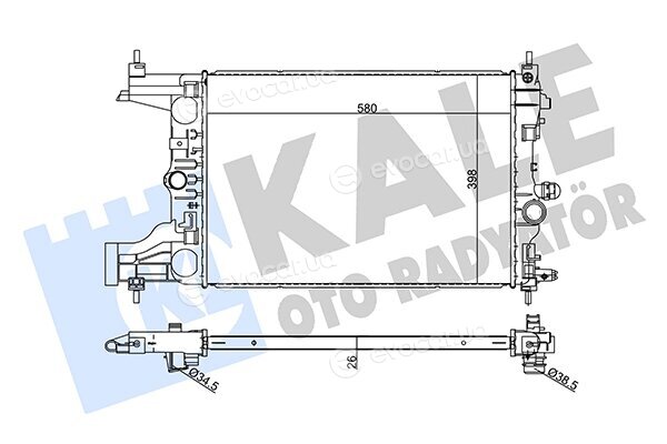 Kale 354985