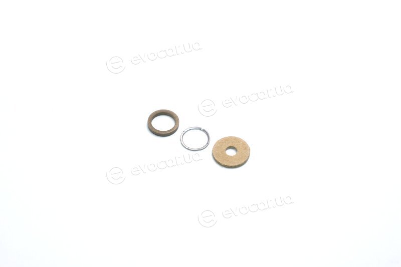 Bosch F 00V C99 002