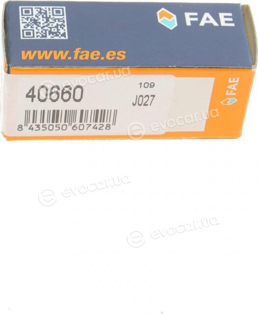 FAE 40660