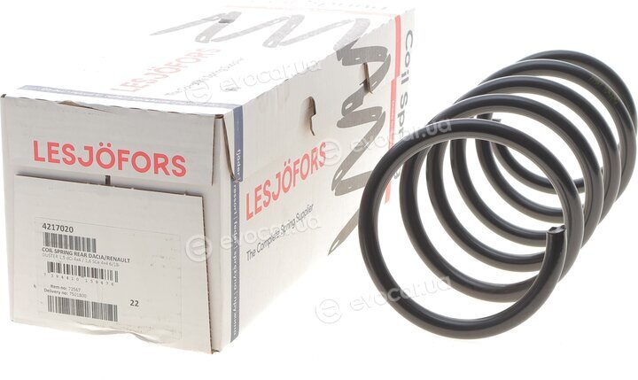 Lesjofors 4217020