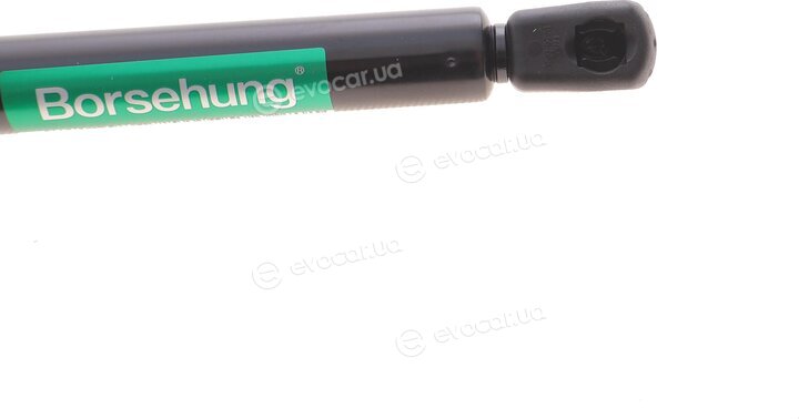 Borsehung B18441