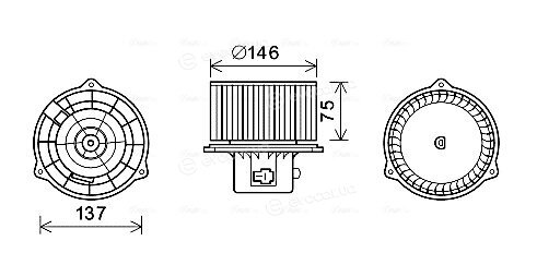 Ava Quality HY8403