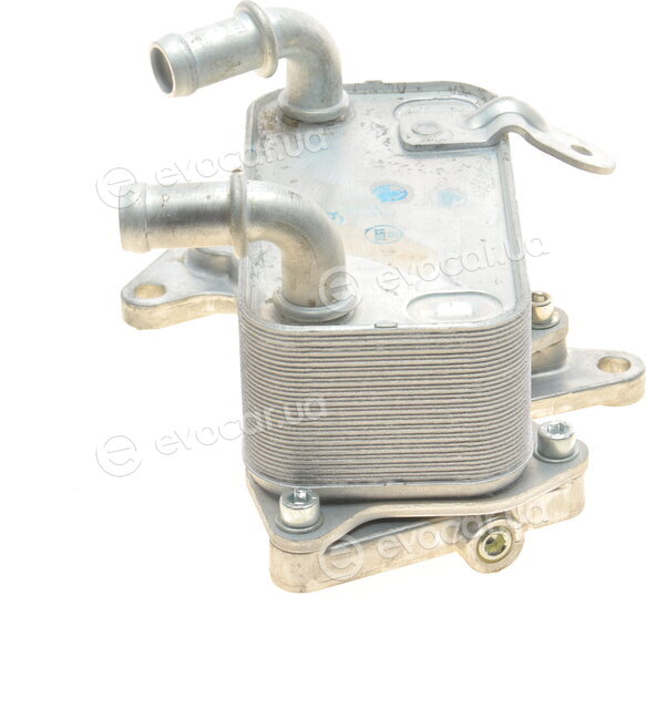 Van Wezel 58013705