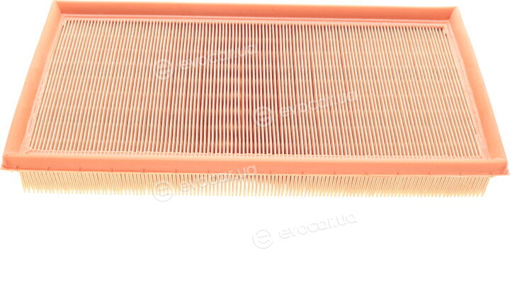 Mann C 35 124