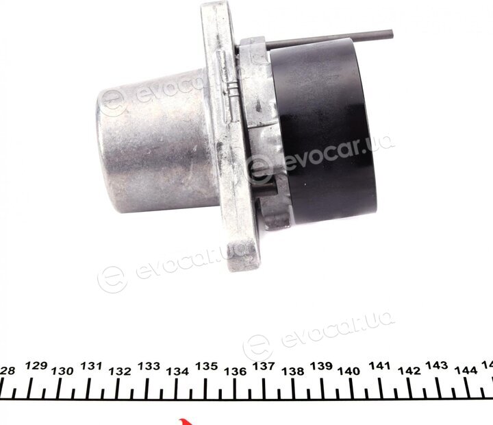 Hutchinson T0690