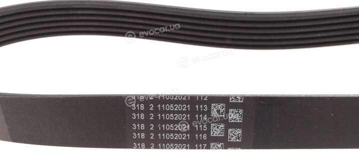 Continental 6PK831 ELAST