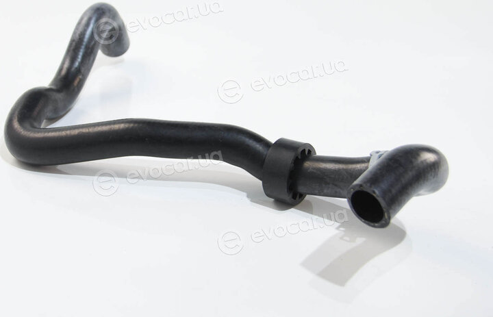 Rapro R12713