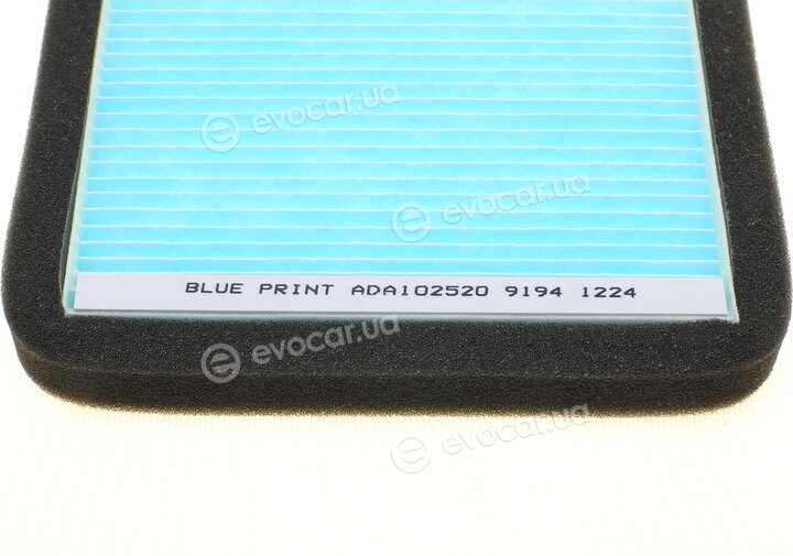 Blue Print ADA102520