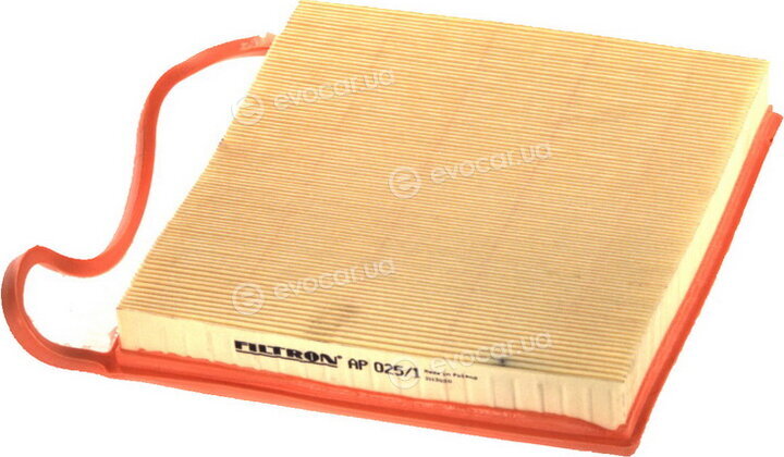 Filtron AP 025/1