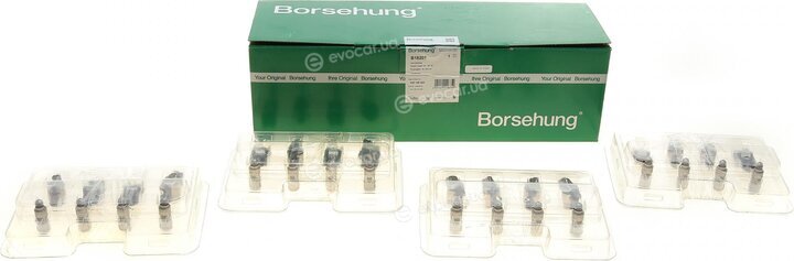 Borsehung B18207