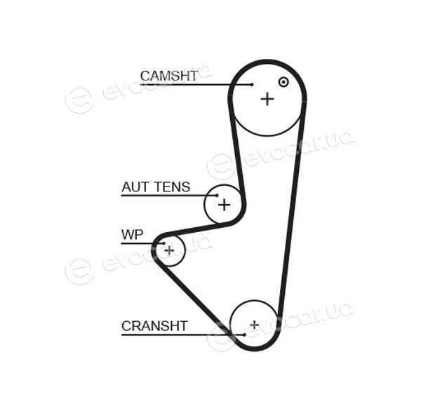 Gates K015574XS