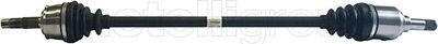 Metelli 17-0537