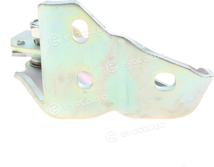 AIC 55573