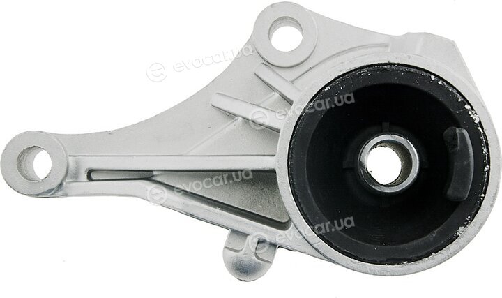 NTY ZPS-PL-007