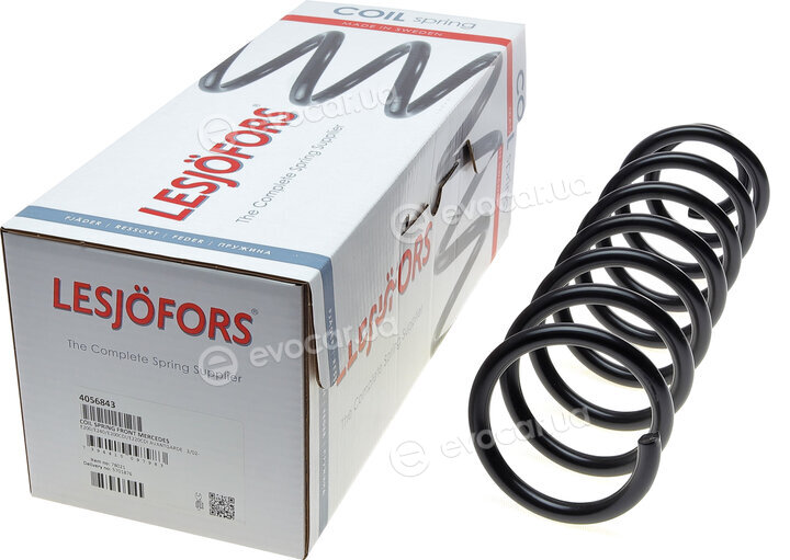 Lesjofors 4056843