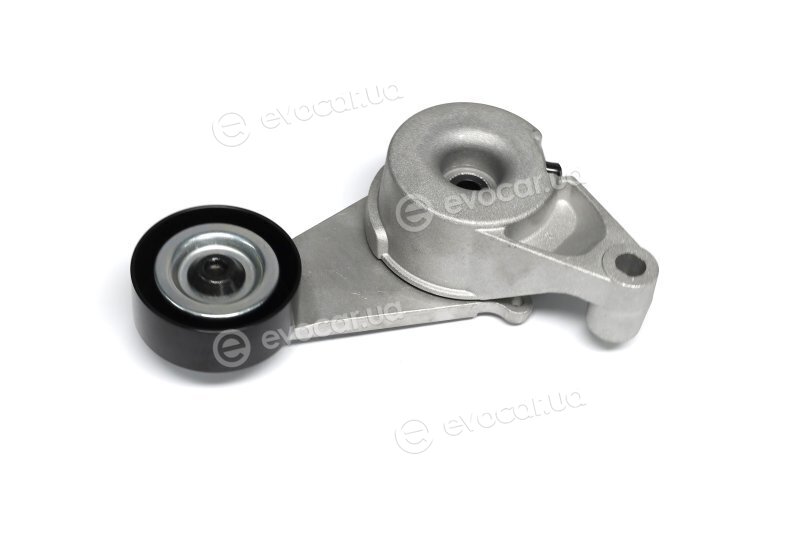 SKF VKM 65095