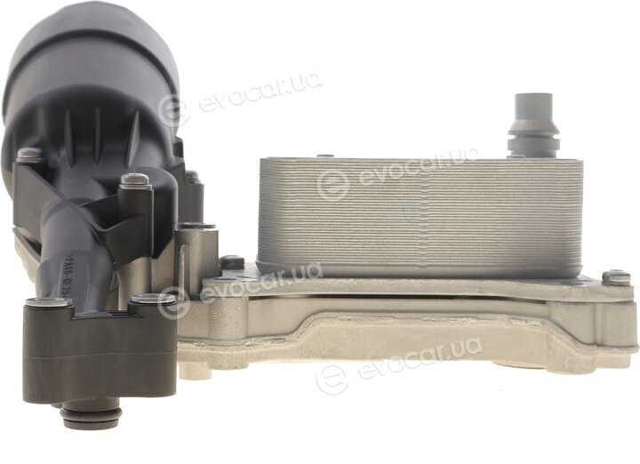 Bogap C1425104