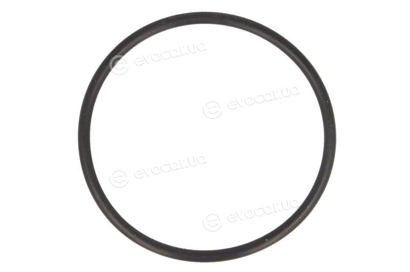 Elring 455.190