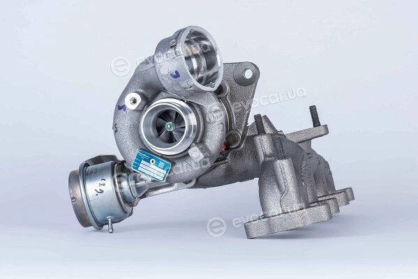 BorgWarner 54399880048