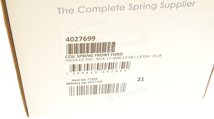 Lesjofors 4027699
