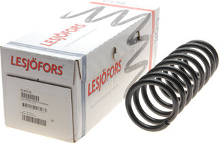 Lesjofors 4244220