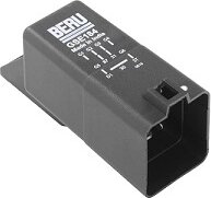 Beru GSE184