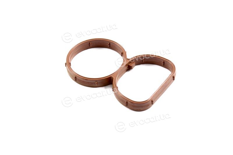 Elring 529.960