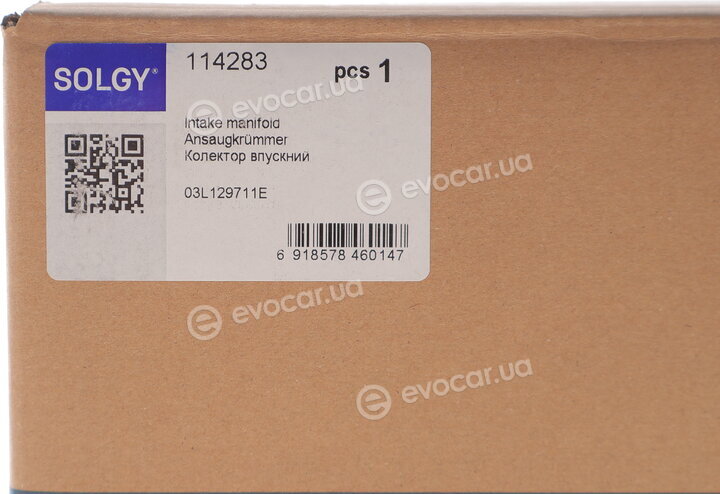 Solgy 114283