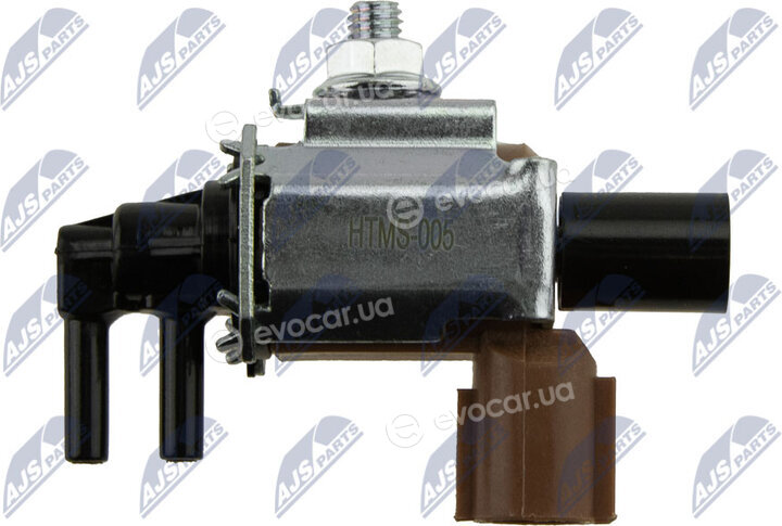 NTY ECD-MS-005