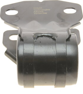 Delphi TD1817W