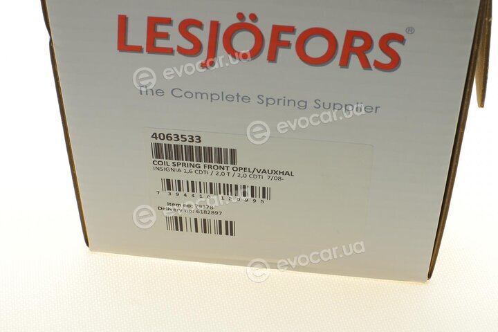 Lesjofors 4063533