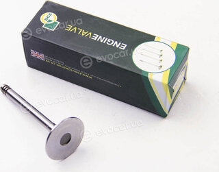 BGA V033313