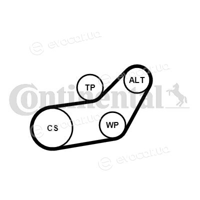 Continental 6PK1045WP3