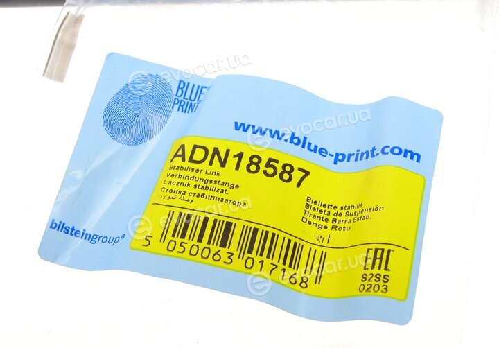 Blue Print ADN18587