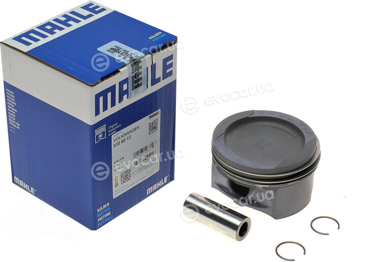 Mahle 030 60 13