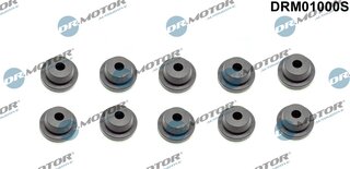Dr. Motor DRM01000S