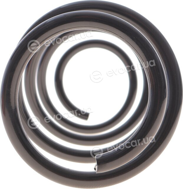 Solgy 212158