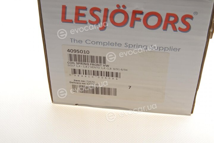 Lesjofors 4095010