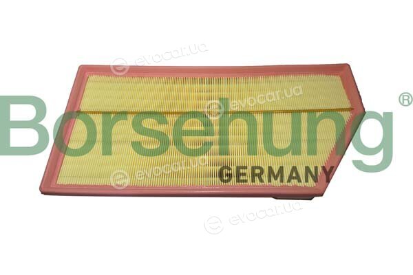 Borsehung B12465