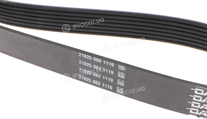Dayco 7PK1853