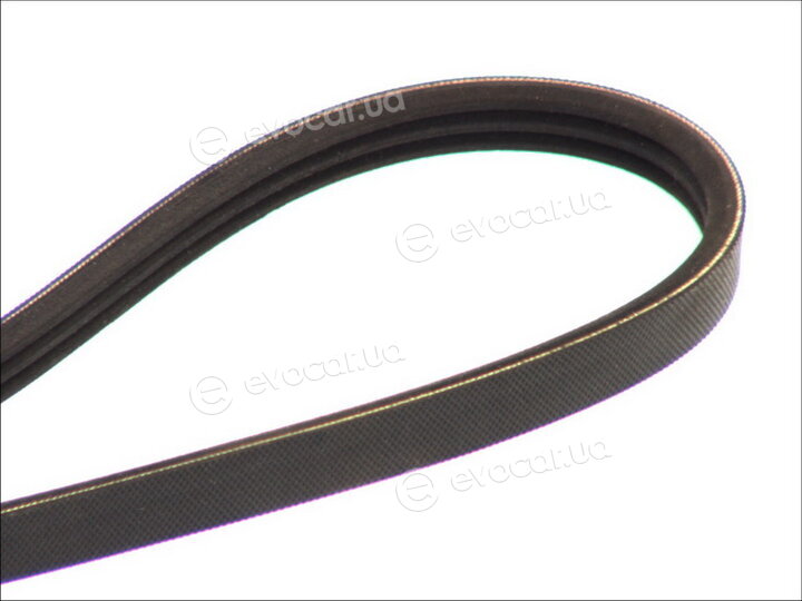 Continental 3PK885 ELAST