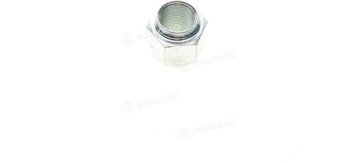Solgy 216177