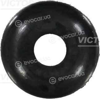 Victor Reinz 70-21569-00